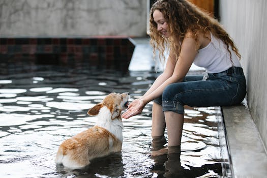 dog and owner bonding during training