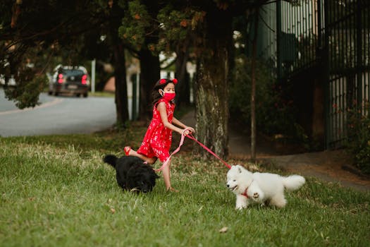 puppy playing with other dogs