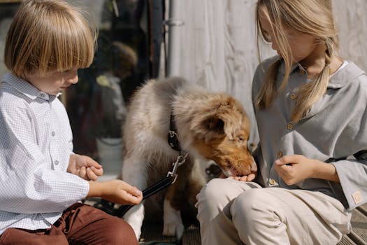 puppy and child interacting