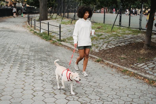 dog walking beside owner