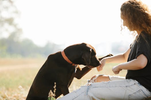dog enjoying a peaceful moment