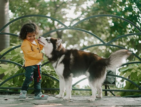 Family taking their service dog to a park