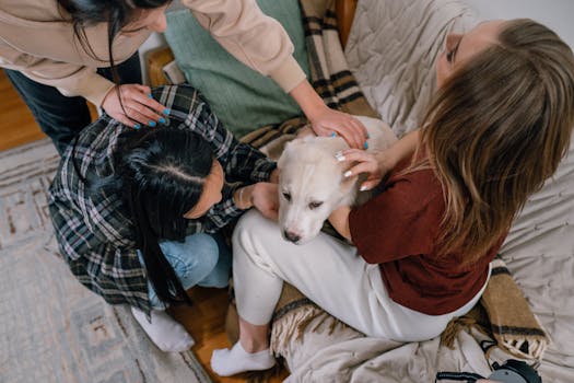 puppy socializing with another dog